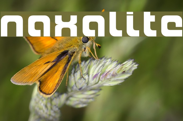 Naxalite Font examples