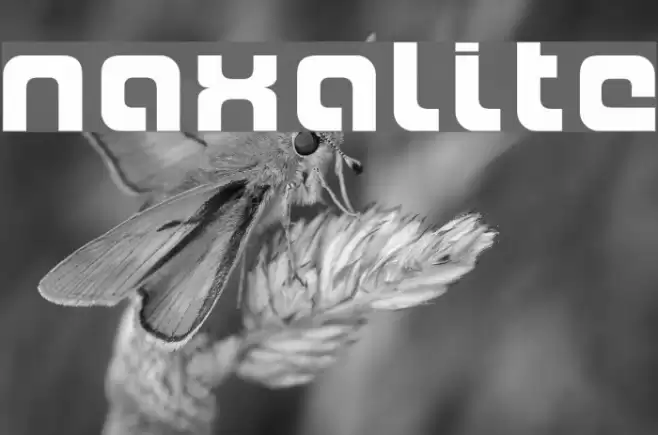 Naxalite Caratteri examples