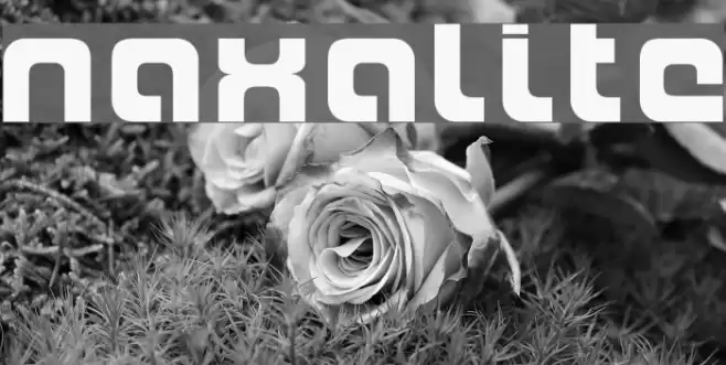 Naxalite Caratteri examples