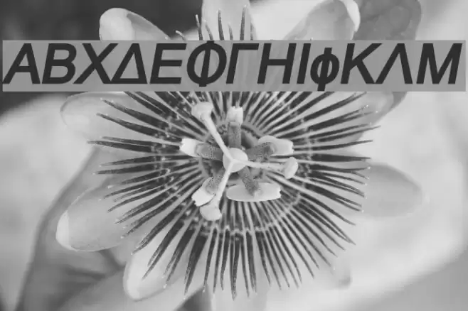 Naxos-BoldItalic Font examples