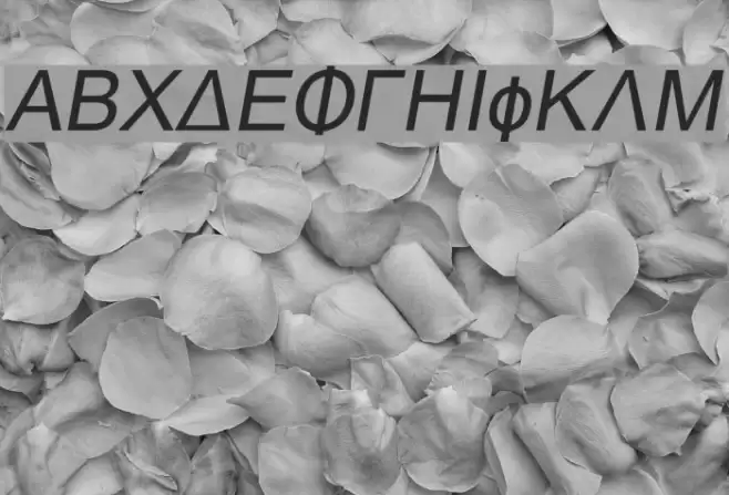 Naxos-Italic Font examples