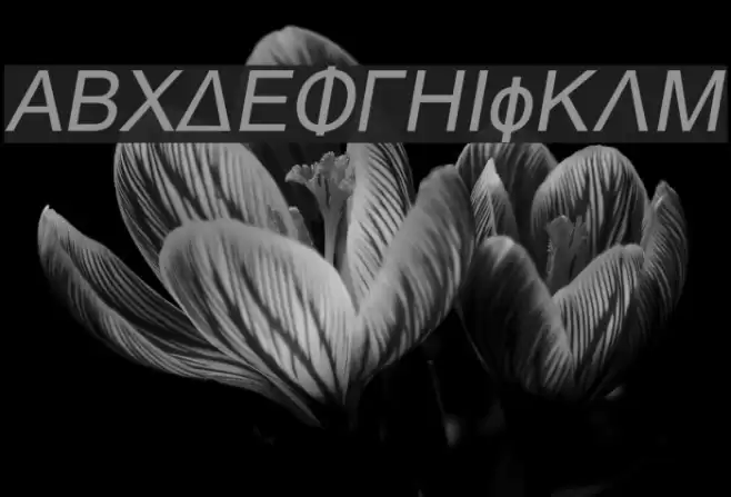 Naxos-Italic Font examples