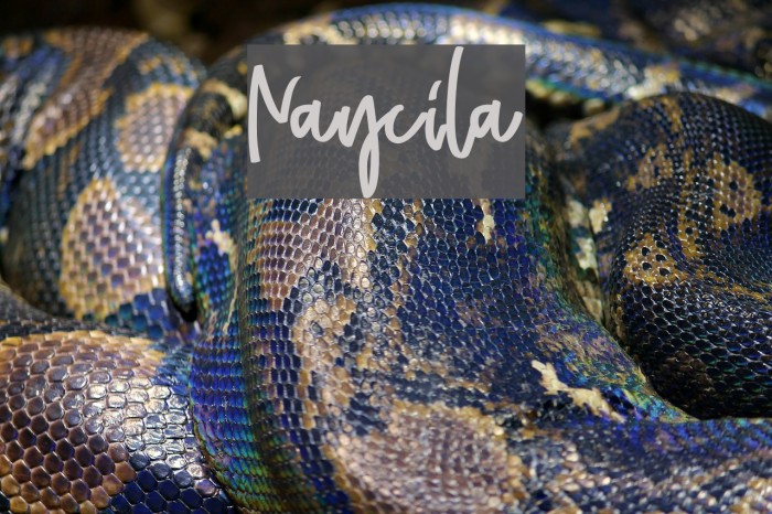 Naycila Font examples