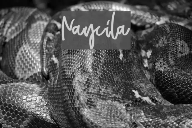 Naycila Example 2