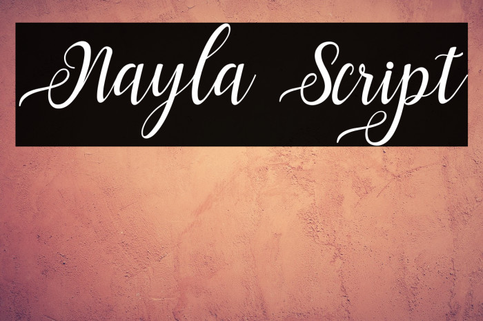 Nayla Script Example 1