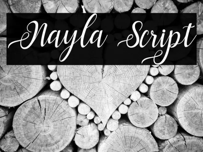 Nayla Script Example 2