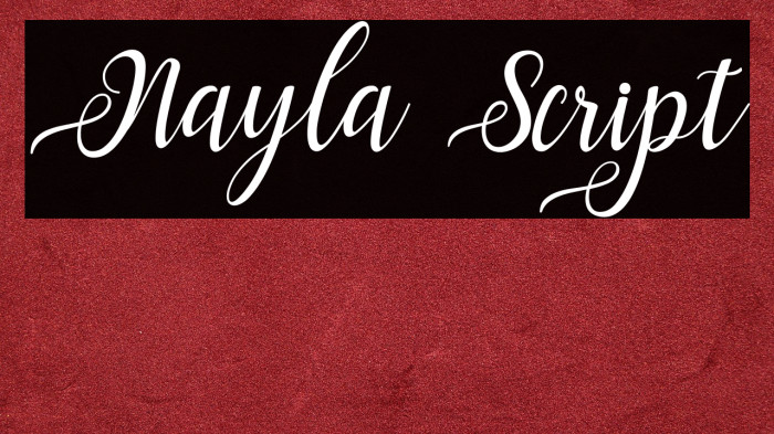 Nayla Script Example 3