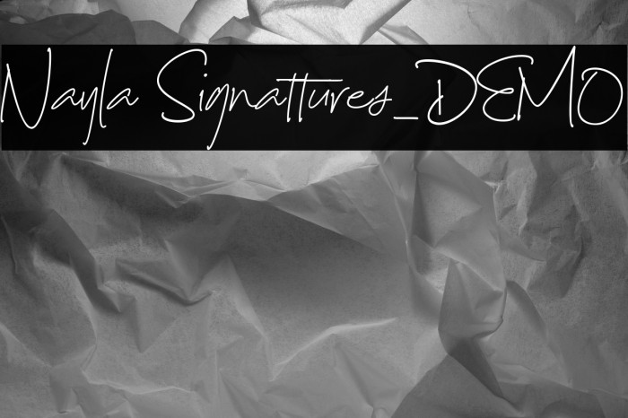 Nayla Signattures_DEMO Example 2