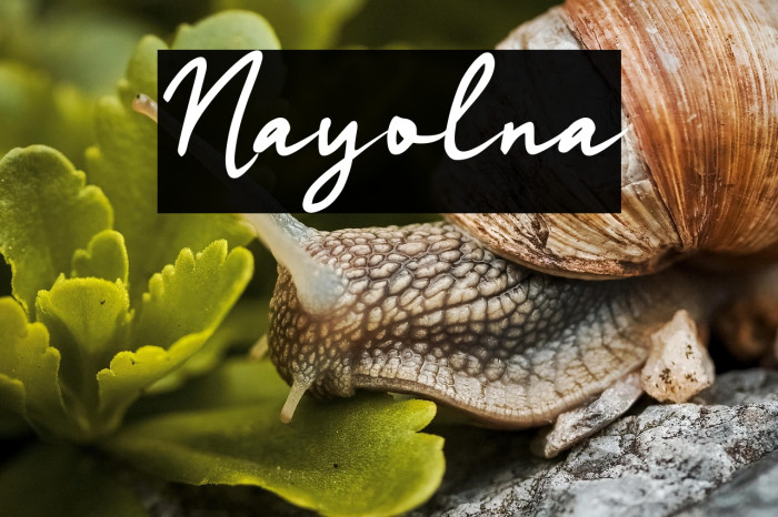 Nayolina Example 3