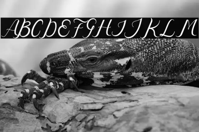 Nazeefa Script Font examples