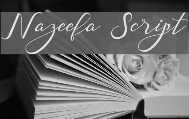 Nazeefa Script Font examples