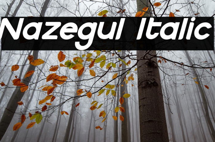Nazegul Italic Example 1