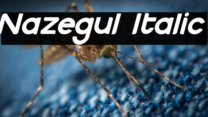 Nazegul Italic Example 2