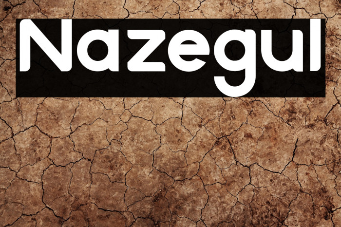 Nazegul Example 2