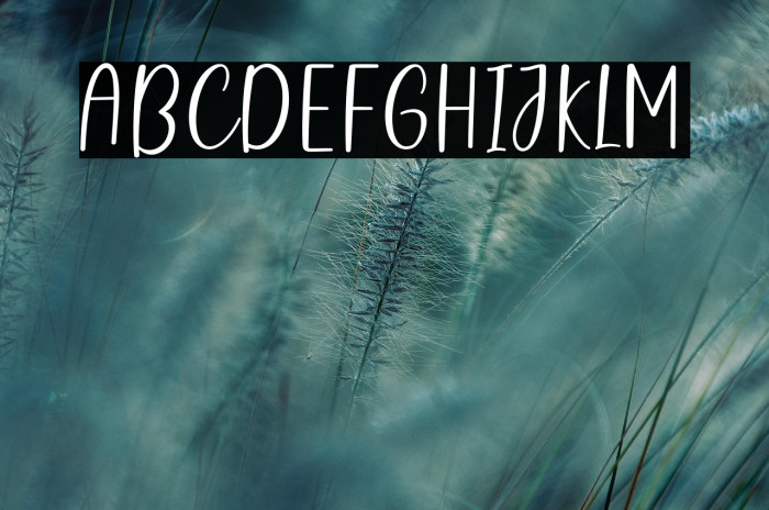 NazeliaFreePersonalUse-Reg Example 3