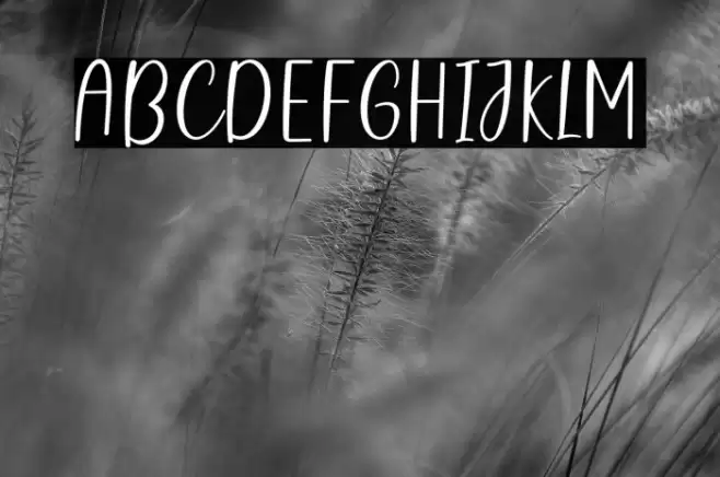 NazeliaFreePersonalUse-Reg Font examples