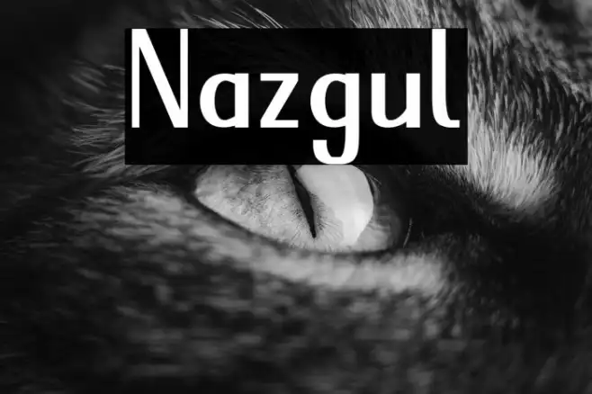 Nazgul Example 1