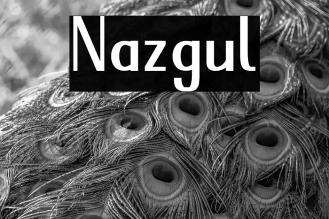 Nazgul Example 2