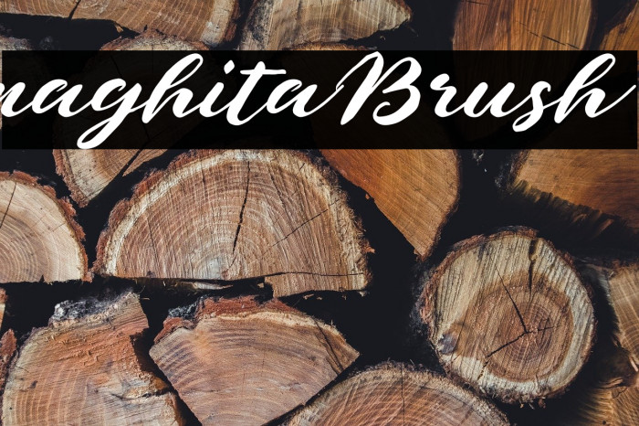 naghitaBrush Example 1