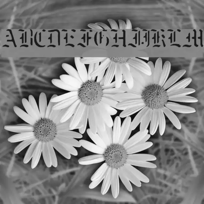 naked-monk Font examples