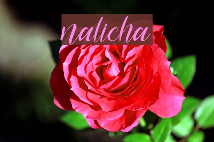 nalicha Example 3