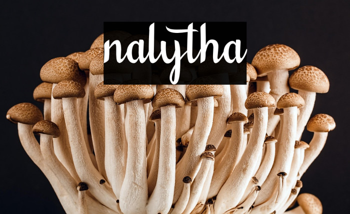 nalytha Example 1