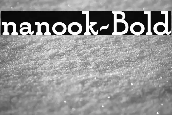 nanook-Bold Example 1