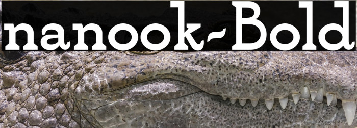 nanook-Bold Example 2