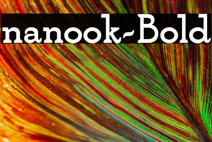 nanook-Bold Example 3