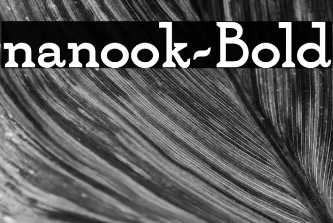 nanook-Bold Example 3