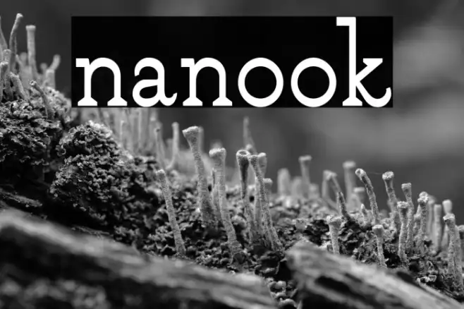 nanook Example 1