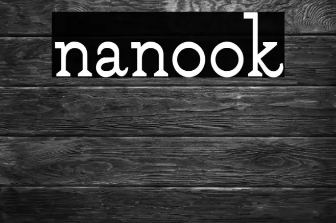 nanook Example 2