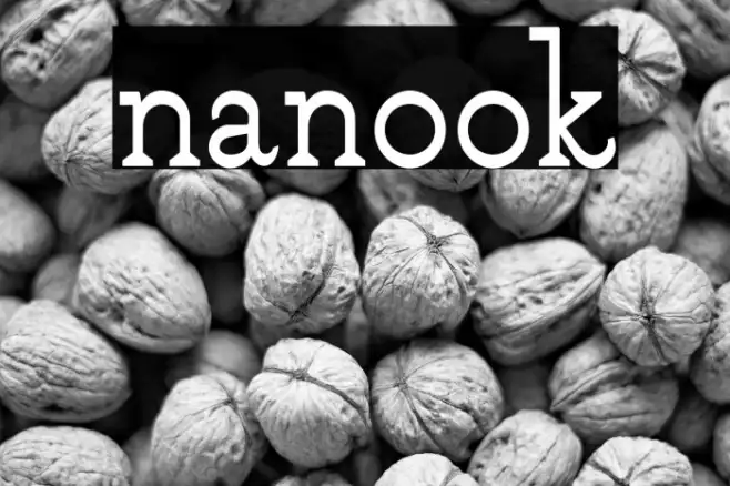 nanook Example 3