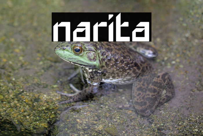 narita Example 2