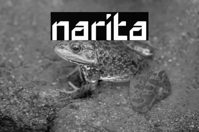 narita Font examples