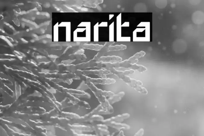 narita Font examples