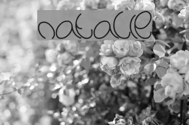 natalie Font examples