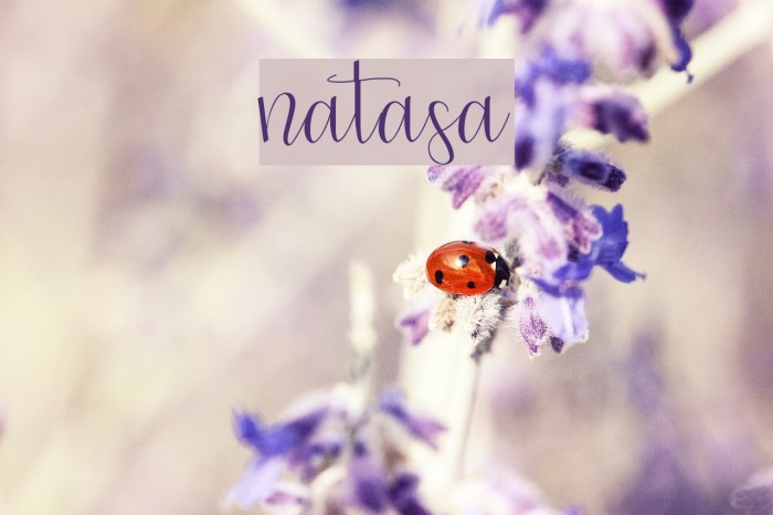 natasa Polices examples