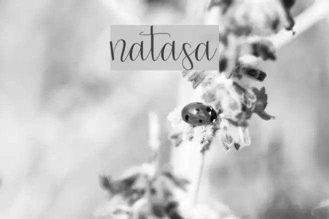 natasa Font examples