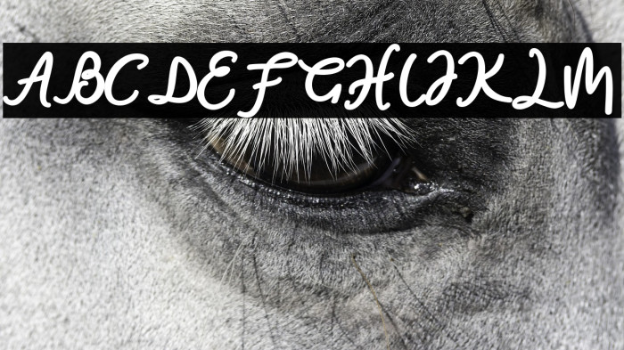 natasha-Bold Example 2