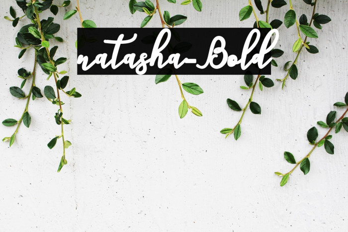 natasha-Bold Example 1