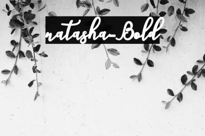 natasha-Bold Font examples