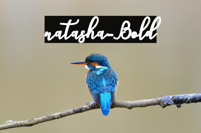 natasha-Bold Example 3