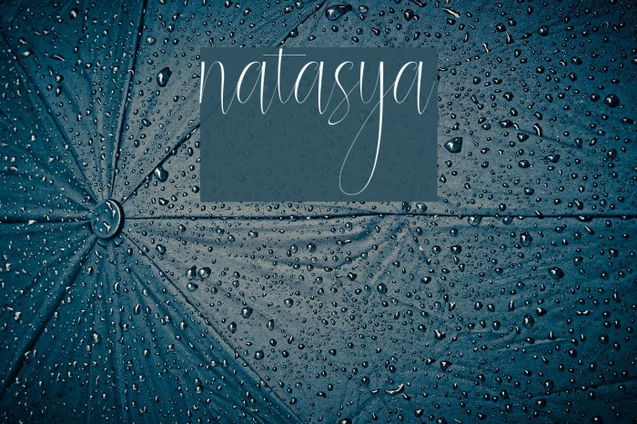 natasya Font examples