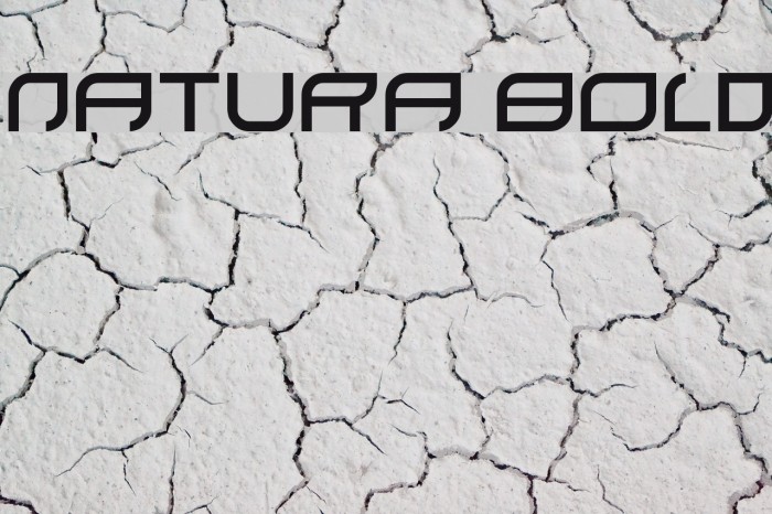 natura Bold Example 1
