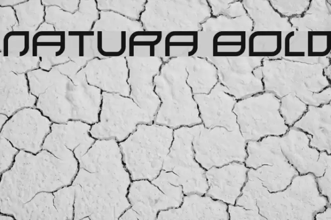 natura Bold Font examples