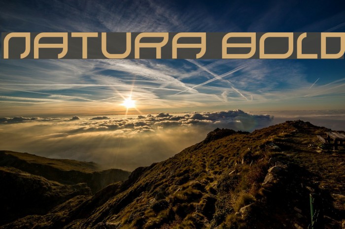 natura Bold Example 2
