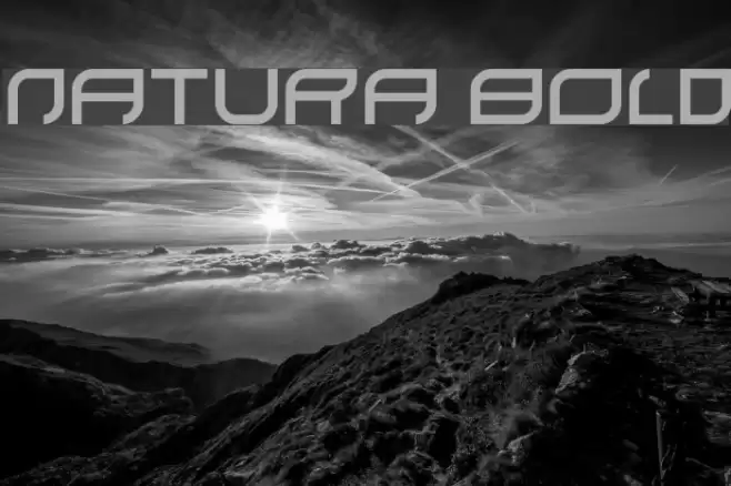 natura Bold Font examples