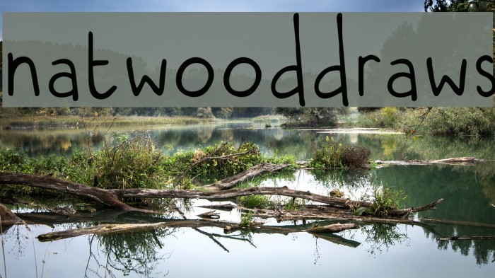natwooddraws Font examples