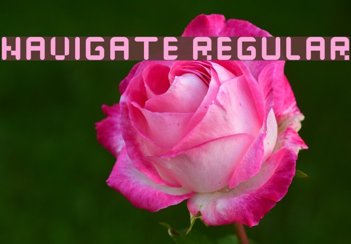 navigate Regular Font examples